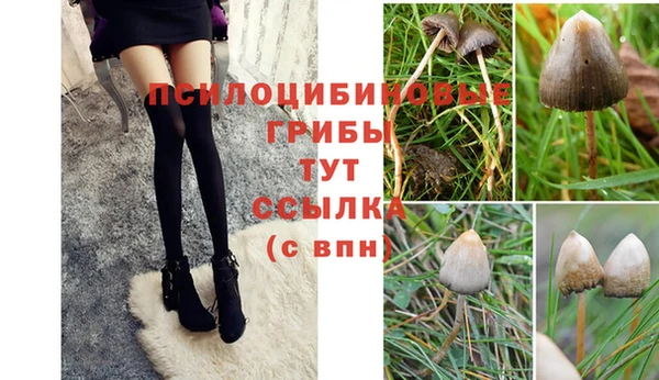 мяу мяу кристалл Ладушкин