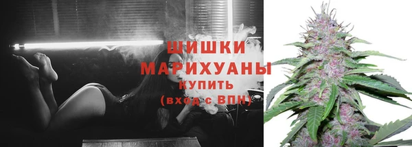 кокс Лабытнанги
