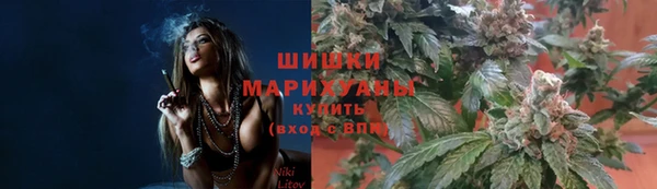 ГАЛЛЮЦИНОГЕННЫЕ ГРИБЫ Куйбышев