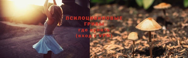 кокс Лабытнанги