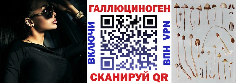 купить   Мантурово  Галлюциногенные грибы Cubensis 